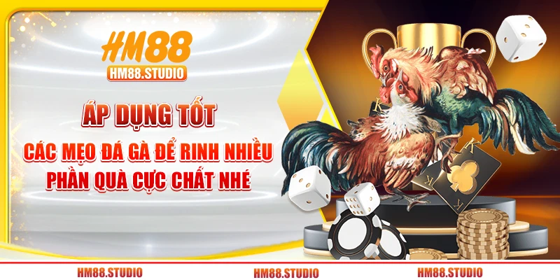 Áp dụng tốt các mẹo đá gà để rinh nhiều phần quà cực chất nhé