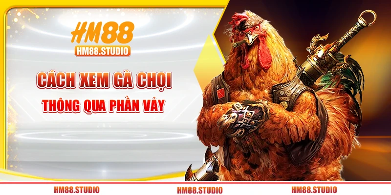 Cách xem gà chọi thông qua phần vảy