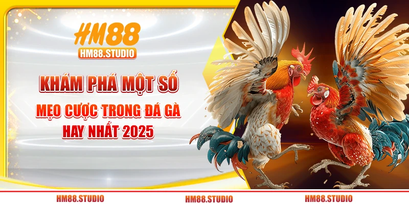 Mẹo Cược Trong Đá Gà