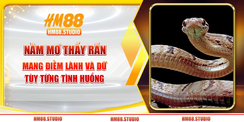 Nằm mơ thấy rắn mang điềm lành và dữ tùy từng tình huống