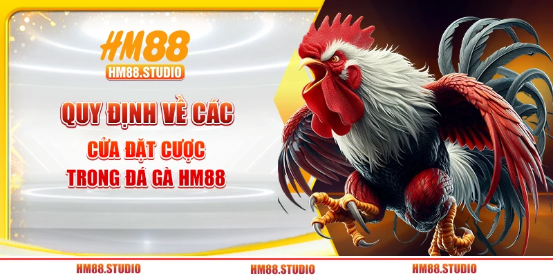 Quy định về các cửa đặt cược trong đá gà HM88